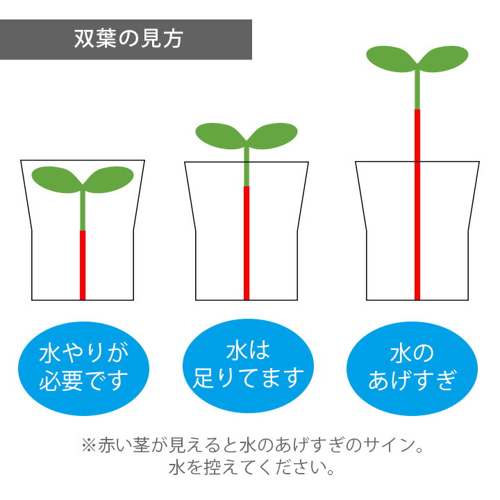 ケター （KETER） セコイアプランター（Sequoia planter） Mサイズ