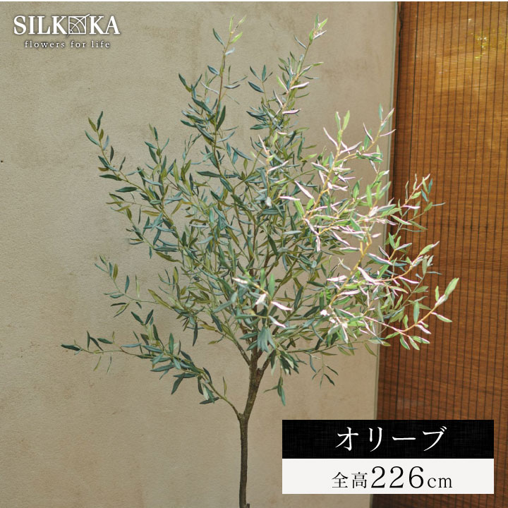 大型 フェイクグリーン「オリーブ 226cm シルカ（Silk-ka）」