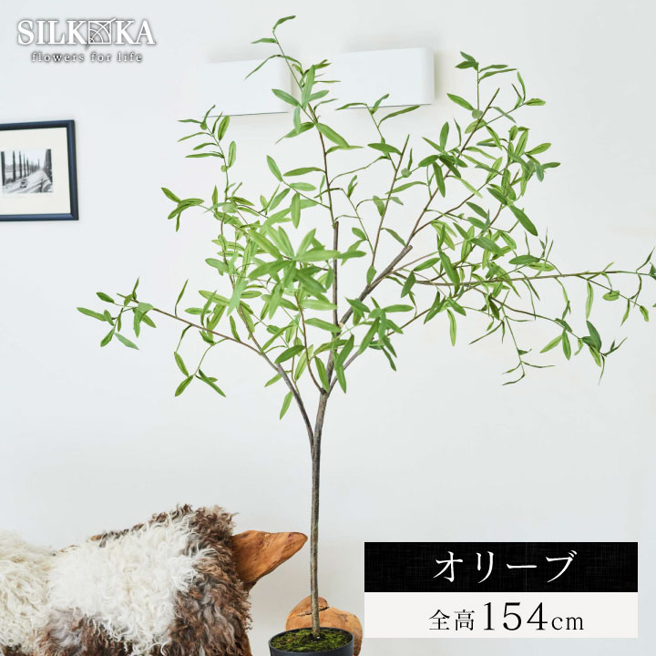 大型 フェイクグリーン「オリーブ 154cm シルカ（Silk-ka）」