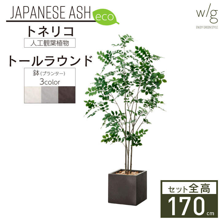 フェイクグリーン鉢セット 大型「トネリコ×キューブ w/g-eco」高さ170cm