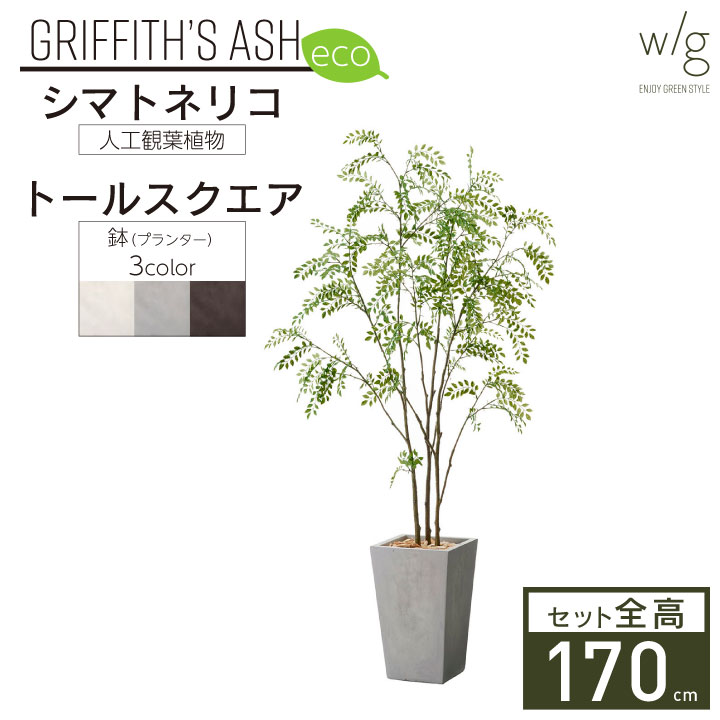 フェイクグリーン鉢セット 大型「シマトネリコ×トールスクエア w/g-eco」高さ170cm